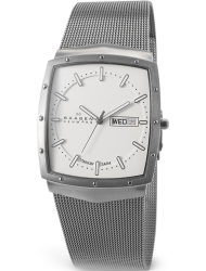 Наручные часы Skagen 396LTTW