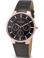 Наручные часы Skagen 331XLRLB