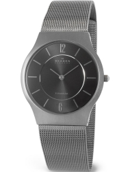 Наручные часы Skagen 233LTTM