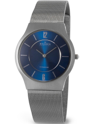 Наручные часы Skagen 233LTTN