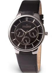 Наручные часы Skagen 331XLSLB