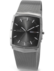 Наручные часы Skagen 396LTTM