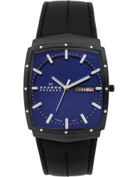 Наручные часы Skagen 396LTMLN