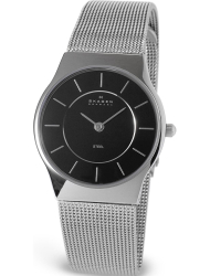 Наручные часы Skagen 233SSSB