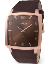 Наручные часы Skagen 621XXLRLD