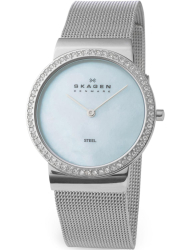 Наручные часы Skagen 644LSSI