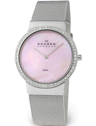 Наручные часы Skagen 644LSSP