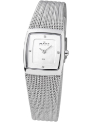 Наручные часы Skagen 380XSSS1