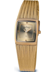 Наручные часы Skagen 380XSGGG
