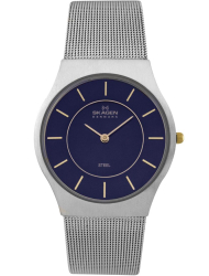 Наручные часы Skagen 233SSSN