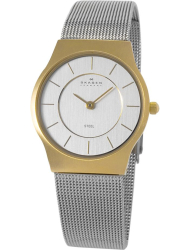 Наручные часы Skagen 233SGS