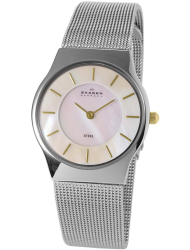 Наручные часы Skagen 233SSSMPP