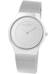 Наручные часы Skagen 233SSSA