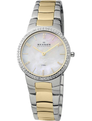 Наручные часы Skagen 644LSGX