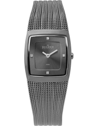 Наручные часы Skagen 380XSMMM1