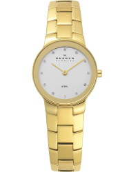 Наручные часы Skagen 430SGXG