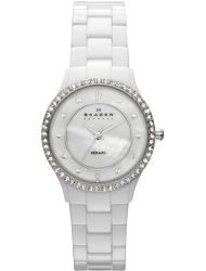 Наручные часы Skagen 347SSXWC