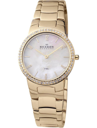 Наручные часы Skagen 644LGGX