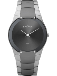 Наручные часы Skagen 861XLSMXM