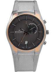 Наручные часы Skagen 853XLSRM