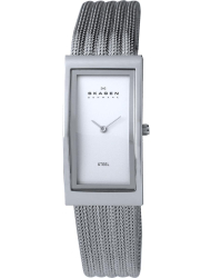 Наручные часы Skagen 359USSS