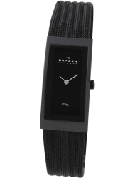 Наручные часы Skagen 359UBB