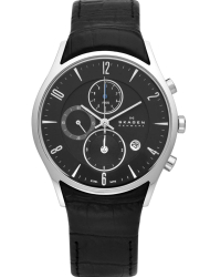 Наручные часы Skagen 329XLSLB