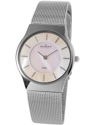 Наручные часы Skagen 233SSSMP