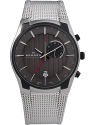 Наручные часы Skagen 853XLSBB