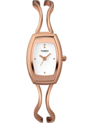 Наручные часы Timex T2N308