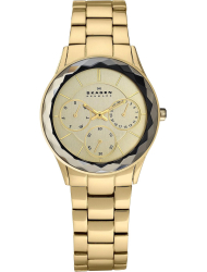 Наручные часы Skagen 344LGXG