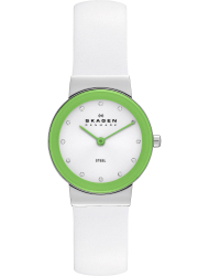 Наручные часы Skagen SKW2024