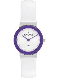 Наручные часы Skagen SKW2017