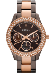 Наручные часы Fossil ES2955