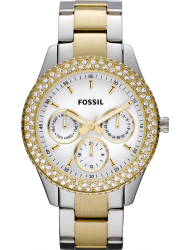 Наручные часы Fossil ES2944