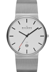 Наручные часы Skagen SKW6052