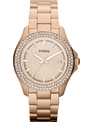 Наручные часы Fossil AM4454