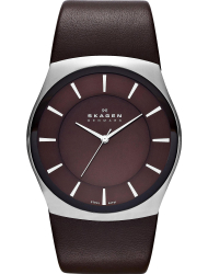 Наручные часы Skagen SKW6016