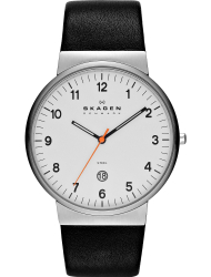 Наручные часы Skagen SKW6024