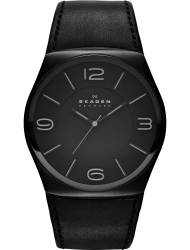 Наручные часы Skagen SKW6043