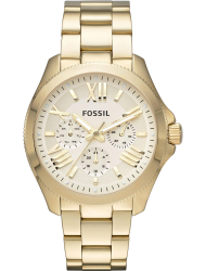 Наручные часы Fossil AM4510