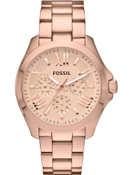 Наручные часы Fossil AM4511