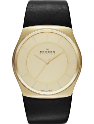 Наручные часы Skagen SKW6018