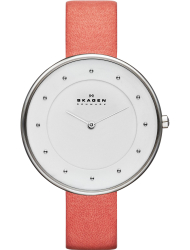 Наручные часы Skagen SKW2135