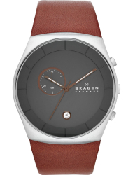 Наручные часы Skagen SKW6085