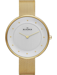 Наручные часы Skagen SKW2141