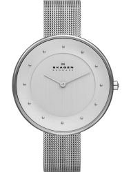 Наручные часы Skagen SKW2140