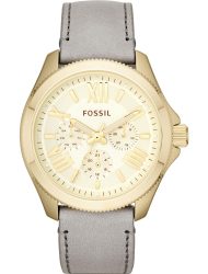 Наручные часы Fossil AM4529