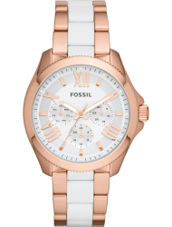 Наручные часы Fossil AM4546