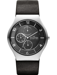 Наручные часы Skagen SKW6116